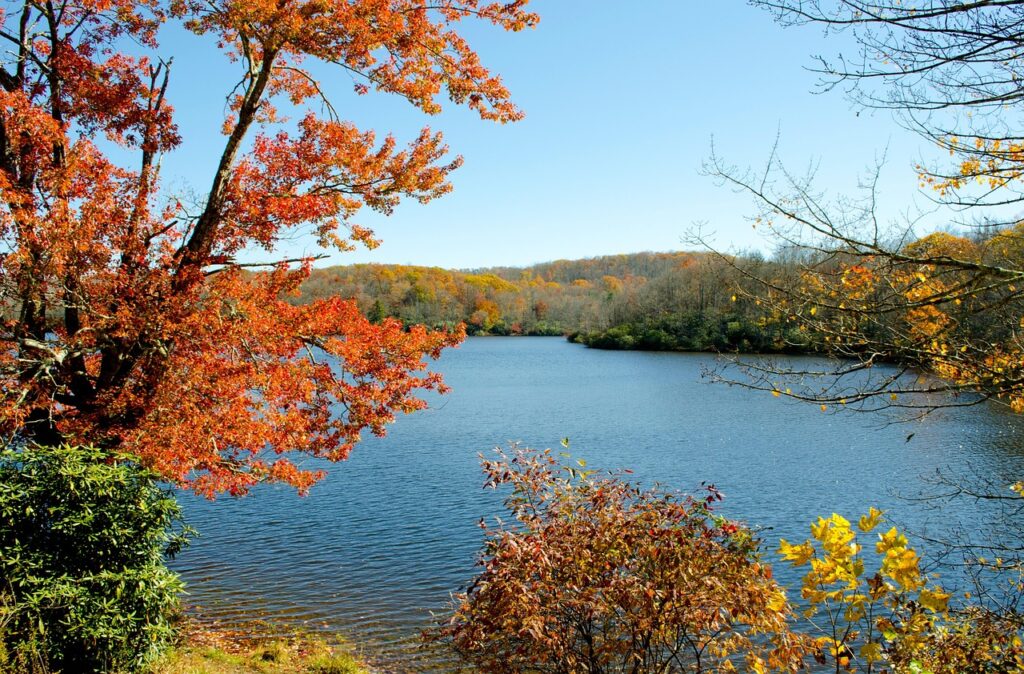 julian price lake, mountain lake, autumn, fall foliage, colorful, appalachian mountains, parkway, appalachian mountains, appalachian mountains, appalachian mountains, appalachian mountains, appalachian mountains